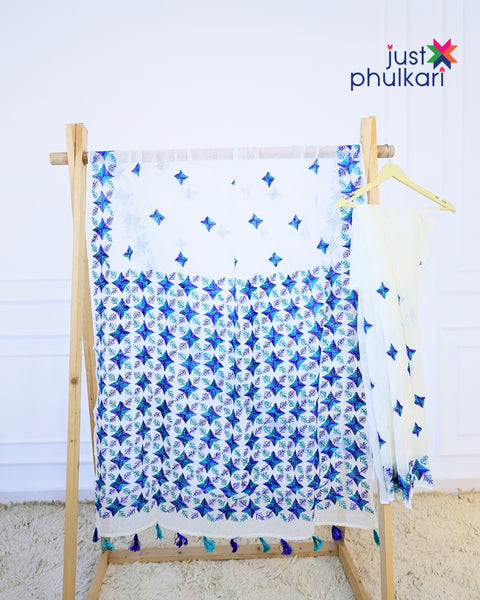 Hand Embroidered Phulkari Saree