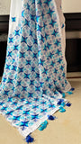 Noor Phulkari Saree