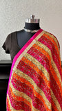 Phulkari Dupatta on Organza