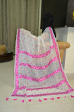 Hand Embroidered Phulkari Saree