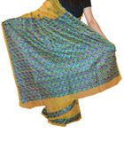 Just Phulkari Hand Embroidery Saree