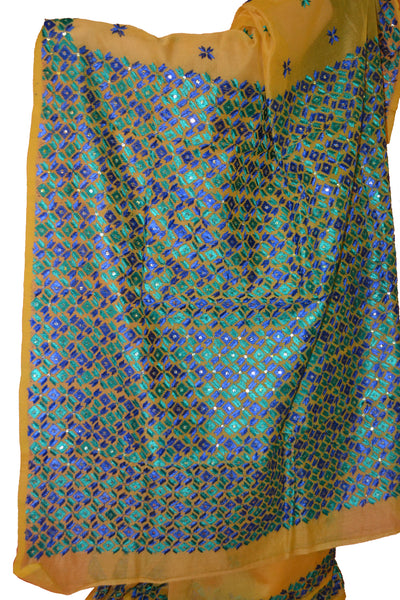Just Phulkari Hand Embroidery Saree
