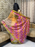 Organza Embroidery Saree