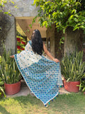 Hand Embroidered Phulkari Saree